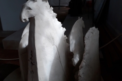 20170704_153415 - kopia - kopia (2) - kopia
