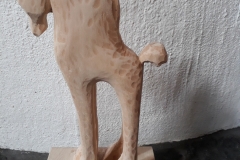 20170704_175926